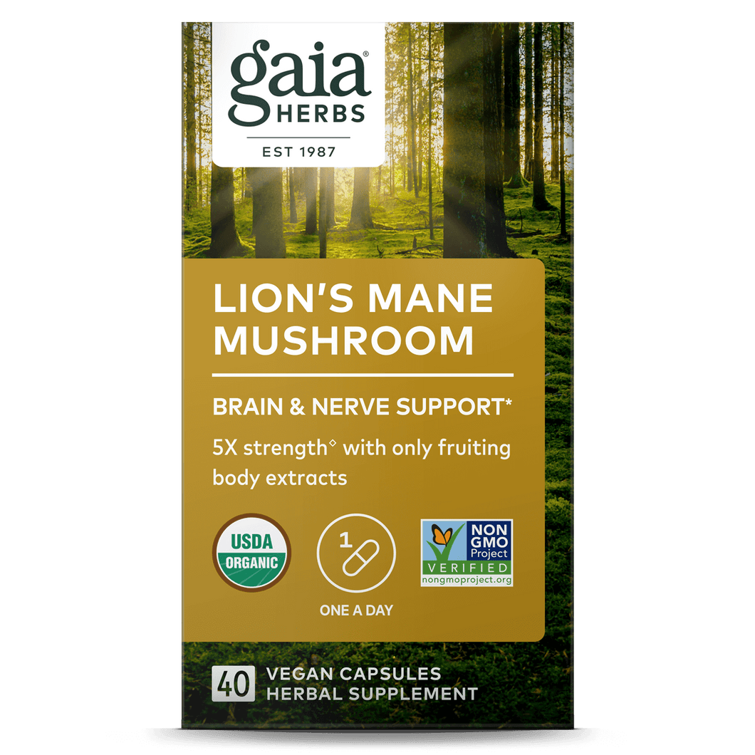 Lion's Mane Mushroom