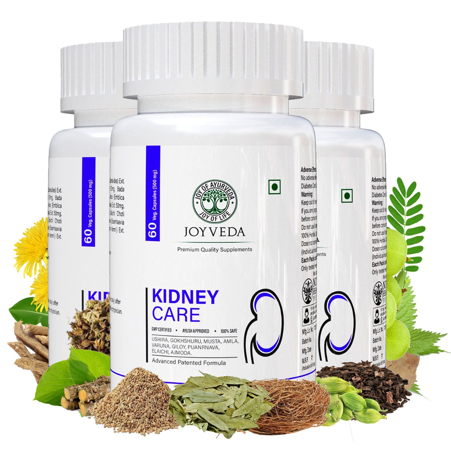 JoyVeda Kidney Care Supplement